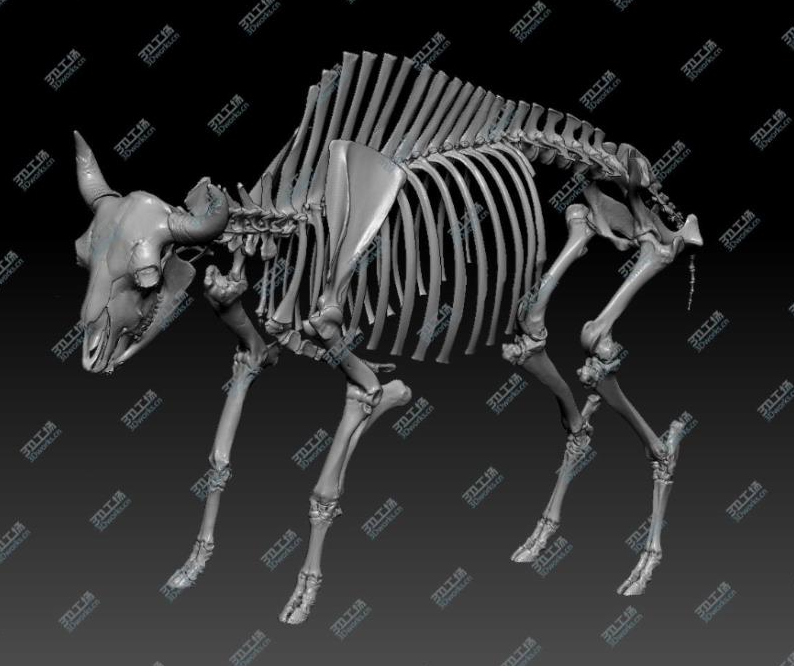 3D打印 牛骨